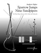 Sparrows Jump Nine Sandpipers Flute/ Clarinet/ Violin/ Cello/ Piano cover